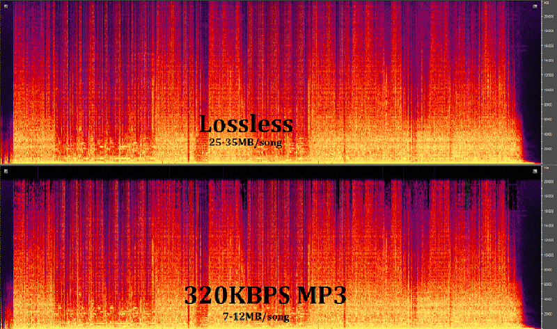 Музыка mp3 320 kbps. FLAC спектр. Спектр FLAC lossless. Спектрограмма mp3 и FLAC. Частоты FLAC И mp3.